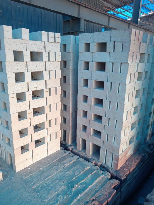 Pishgan va xom gishtlar