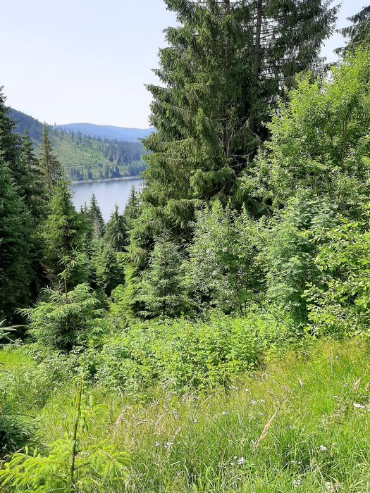 Vand Teren Belis aproape de lac