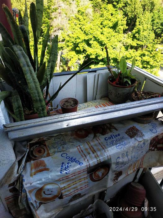 противни промышленные