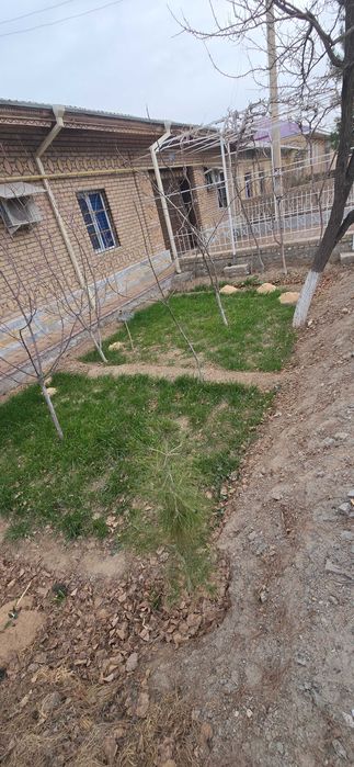 Дом Гулистон Махалля 6 соток