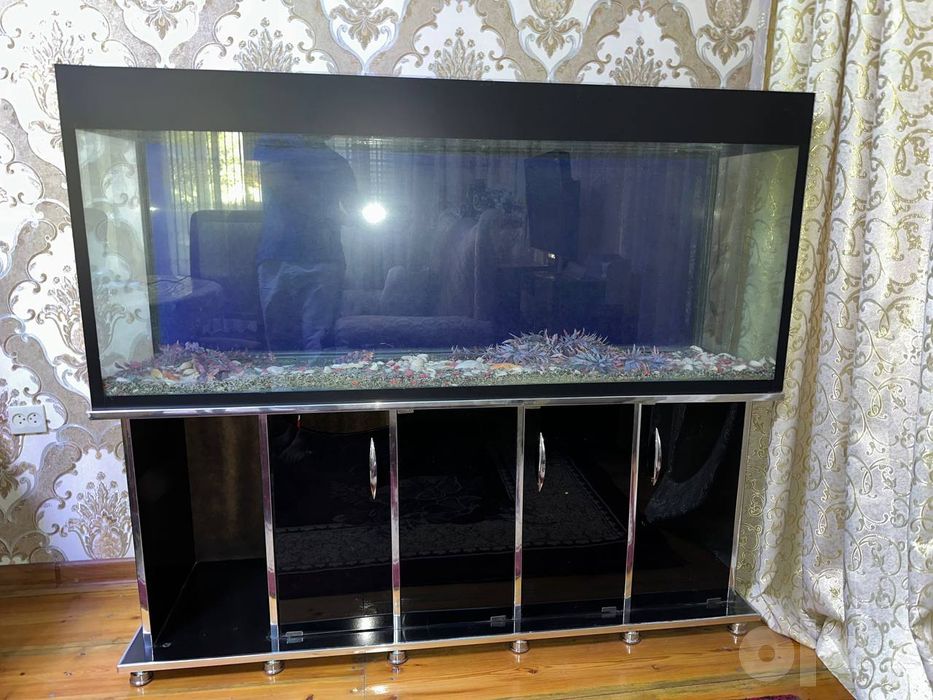 Akvarium Sotiladi