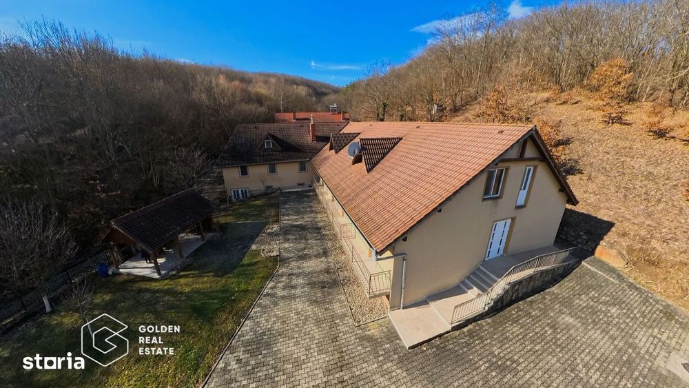 Proprietate pretabila pentru afacere, Cladova