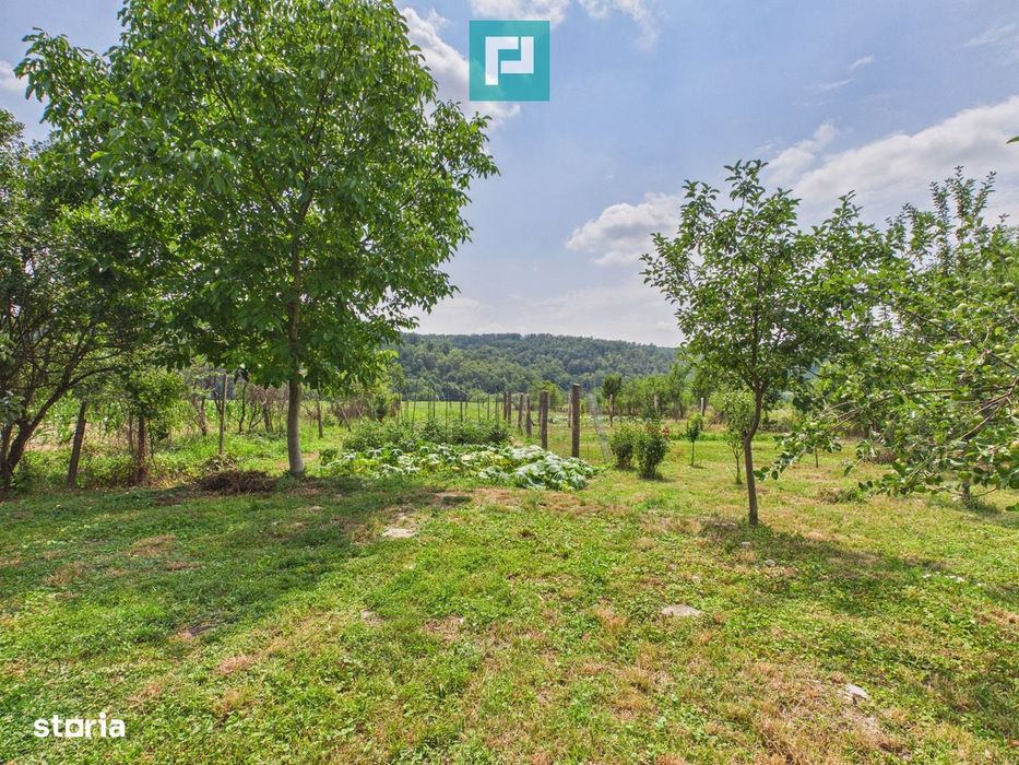 2 case cu teren de 2253 mp în Archiș