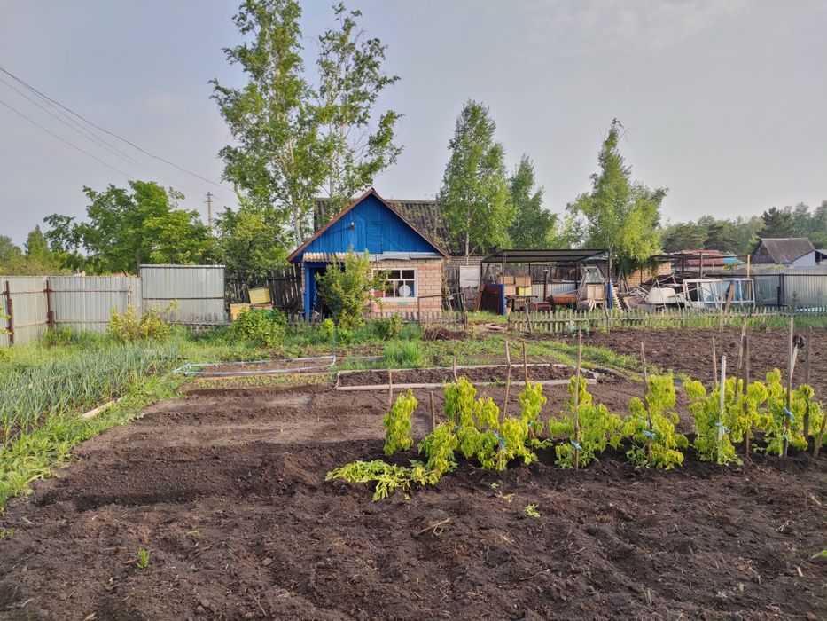 Дача, с/о Горизонт