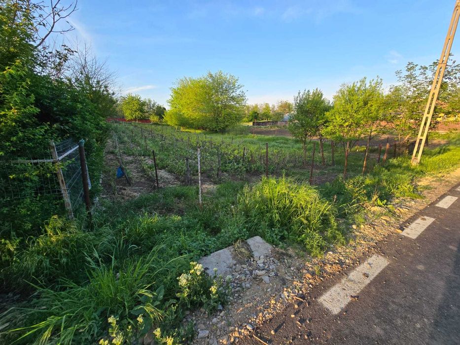 Teren intravilan 1200mp - Valea Argovei, Calarasi