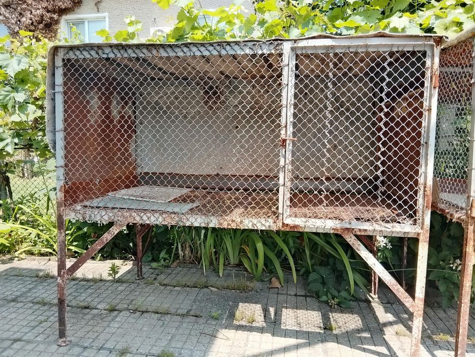 Зайчарници 3 броя