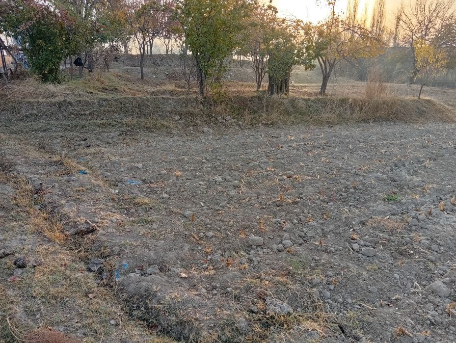 Qurilish uchun yer sotiladi