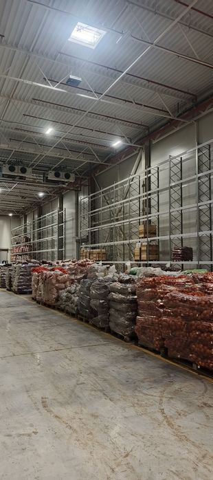 Палетни стилаж e