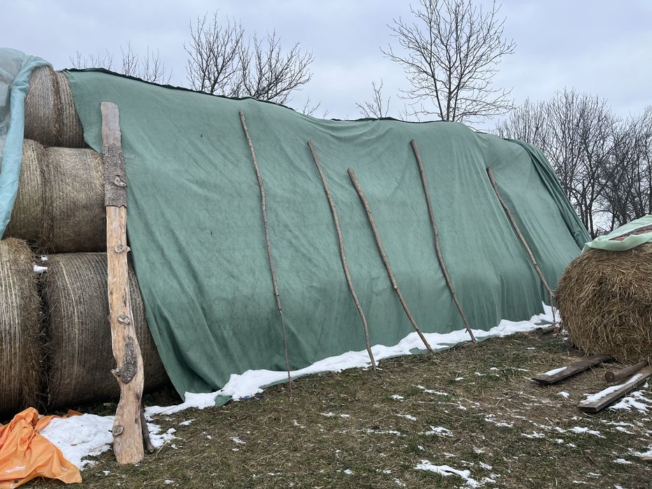 Baloti productie proprie 2025