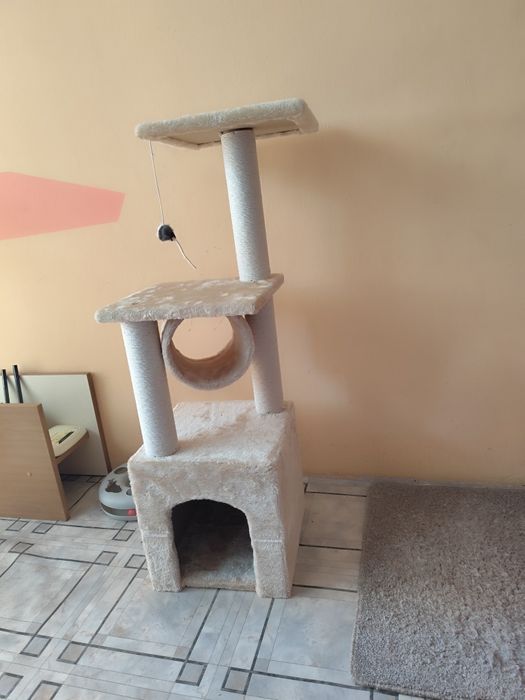 Нова котешка катерушка
