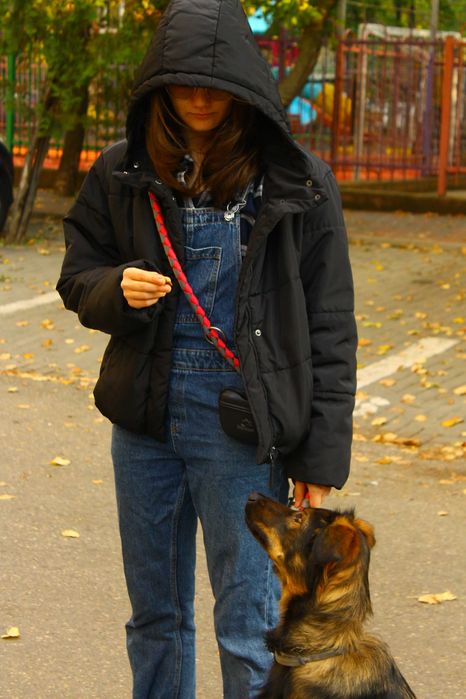 dog walker bucuresti