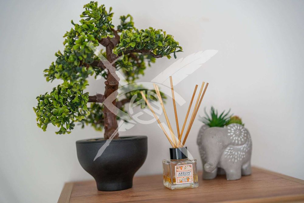 Двустаен апартамент в кв. Гръцка махала - 96610