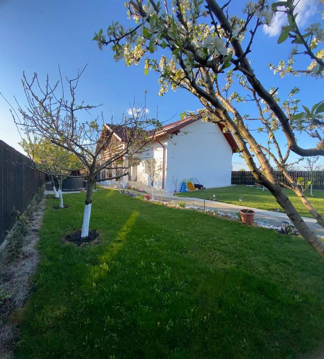 Cabana de inchiriat Brasov cu Ciubăr 6 PERSOANE