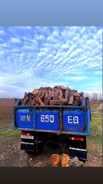 O'tin дрова сухой