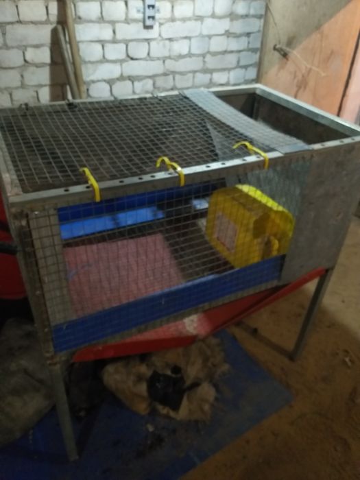 Продам клетки для кроликов