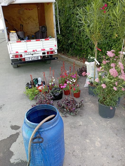 Bogʻbon sadovnik 12 -yillik tazriba