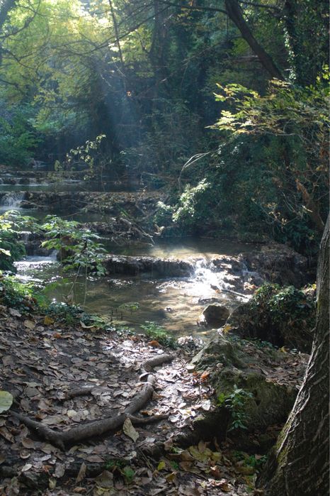 Aparat foto canon eos 1100d