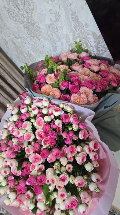 Срочно продам цветы