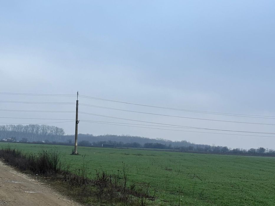 TEREN AGRICOL 4.1ha, DN1A, 15€/mp