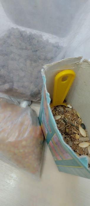 Клетка для хомяка, крысы, Майкудук