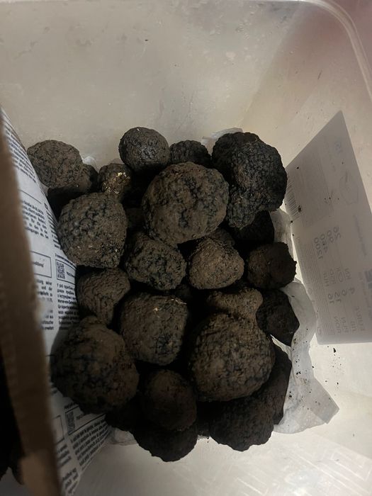 Trufe proaspete si aromate