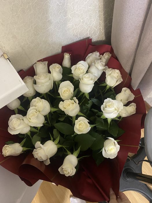 Розы 25 шт !!срочнооо