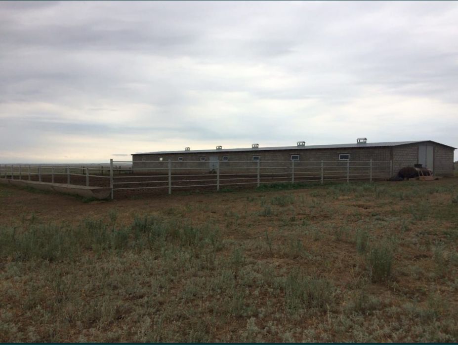 Крестьянское хозяйство