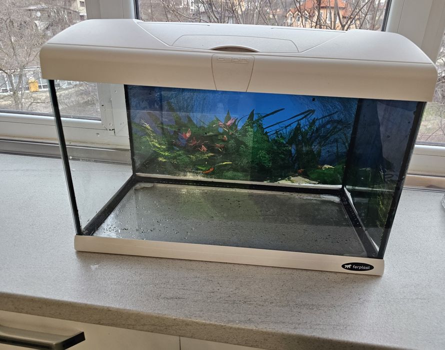 Аквариум за рибки
