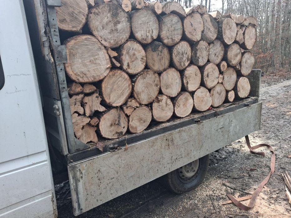 Vând lemne de stejar fag etc transport gratuit în județul Argeș  OLT