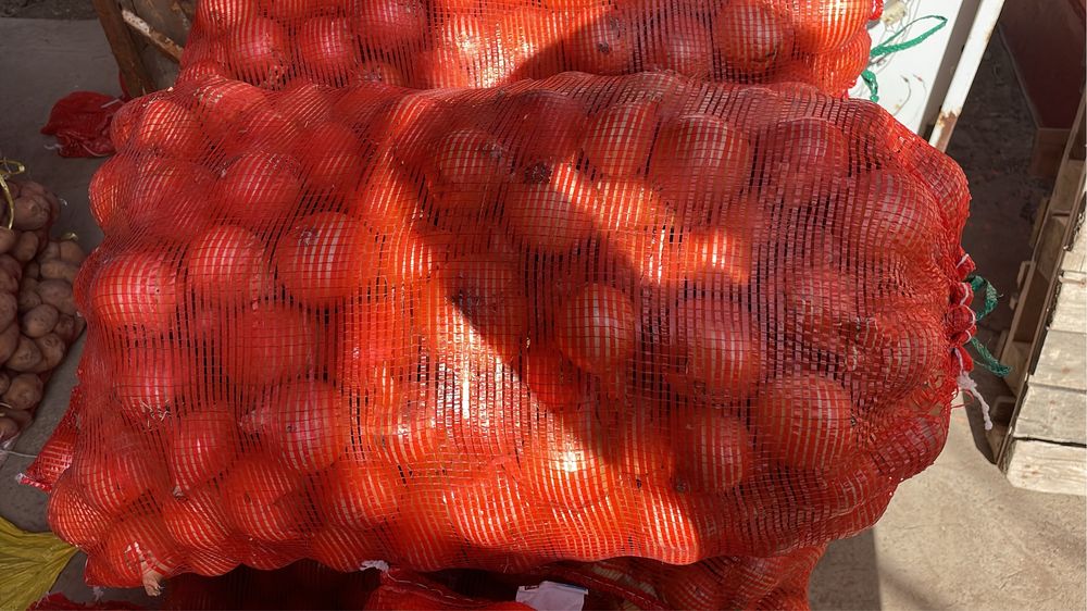 Продам лук оптом