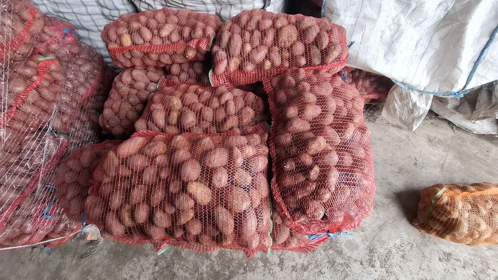 Vând cartofi consum