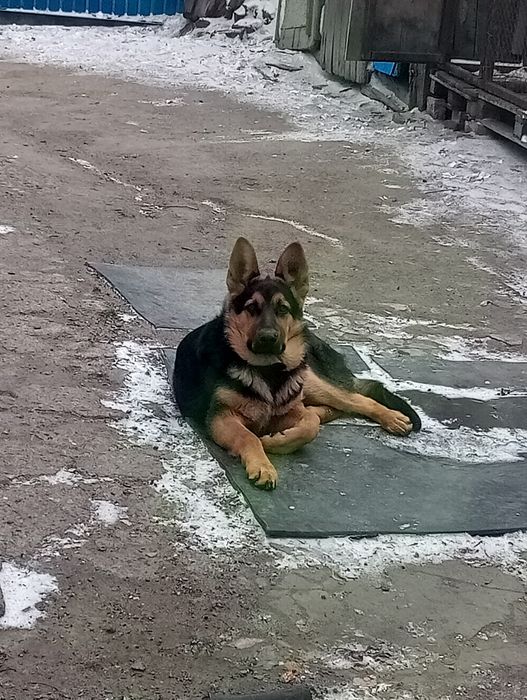 Ищем девочки для нашего красавчика