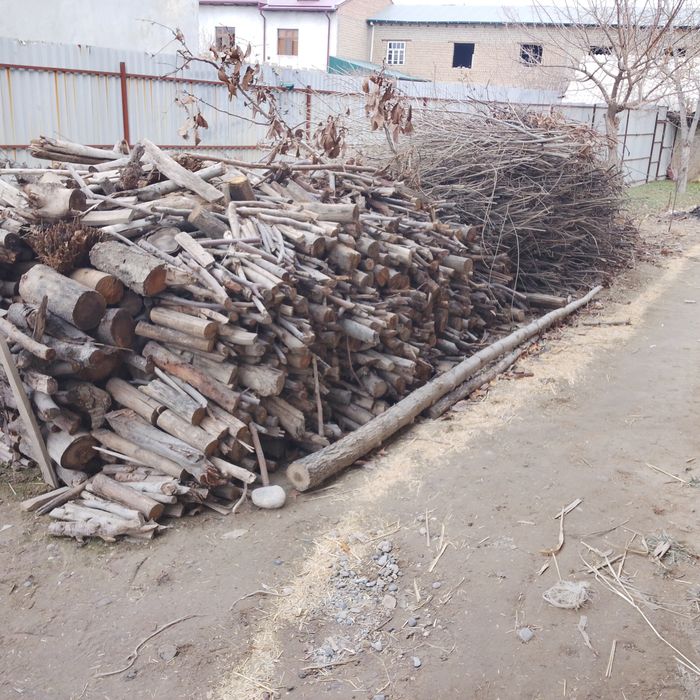 Утин дрова кесилган