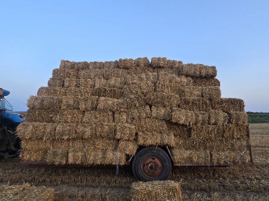 Vând baloți de paie