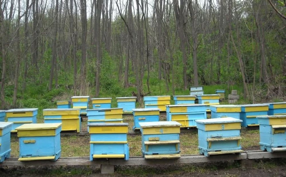 Продавам кошери на ниска цена