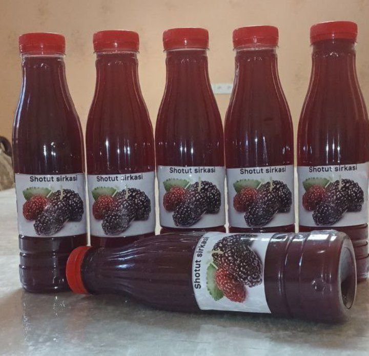 Tabiiy shotut sirkasi