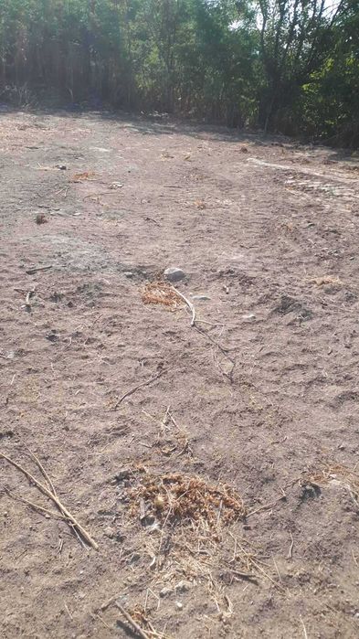 Продава се Парцел в Петрич - 1000 кв.м за 75 €/кв.м - Снимка #5