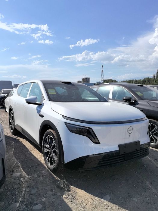 Dongfeng‑Nissan NX8 310  Max