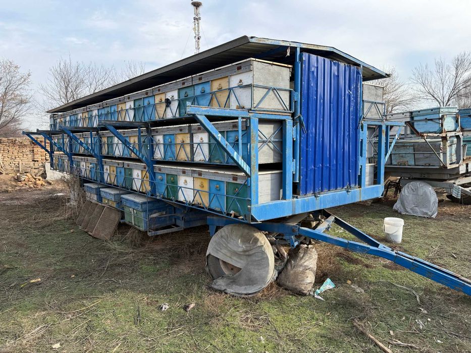 Продается пасека с прицепом