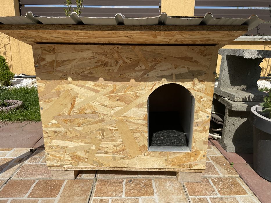 Cusca pentru caine, talie mica