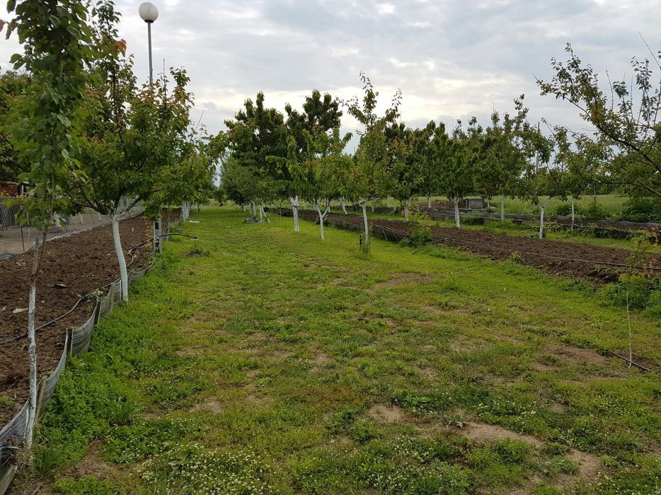 БИОХУМУС И ТЕЧЕН БИОТОР  Червен Калифорнийски Червеи  100% ОРГАНИЧНО