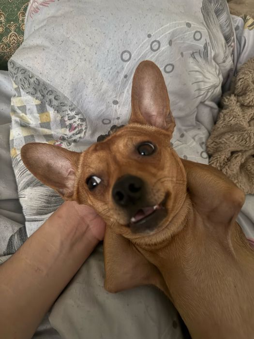 Мальчик ищет девочку