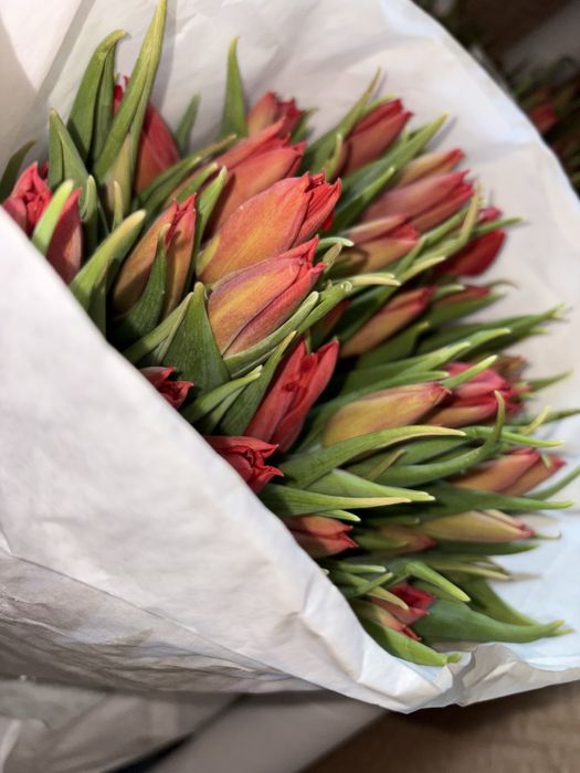 Тюльпаны к 8 марта