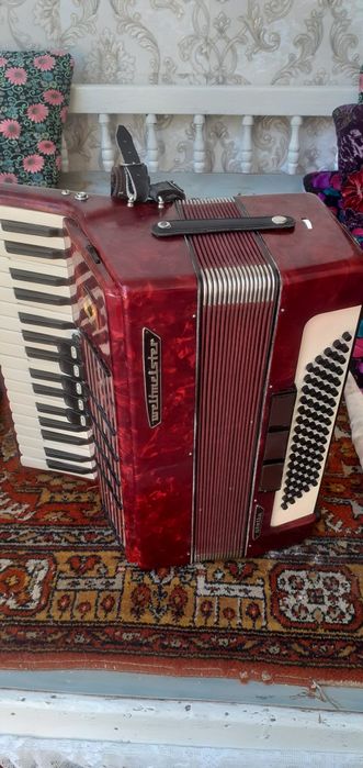 Акардион немецский