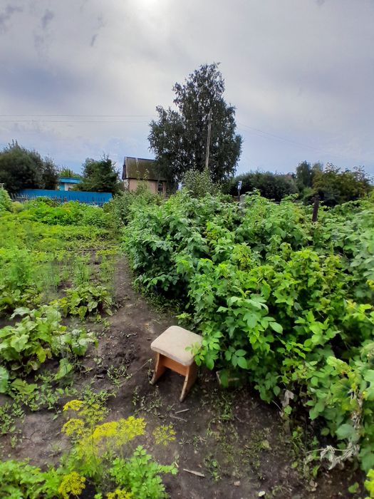 Продам дачу в обществе "Ромашка "