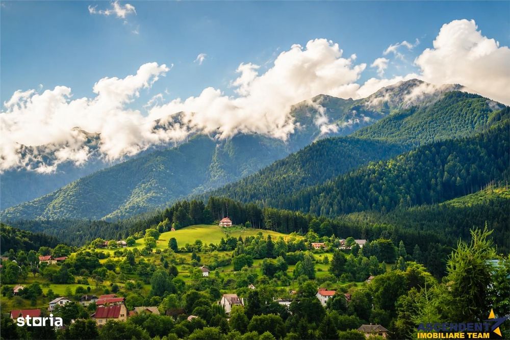 Aleasa Pensiune, pe 1.400 mp teren, in curcubeu montan, Bran, Brasov