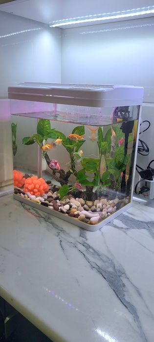 Аквариум обьем 30л