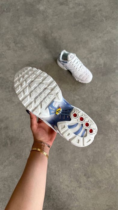 Nike Air Max Plus TN  'Ashen Slate”