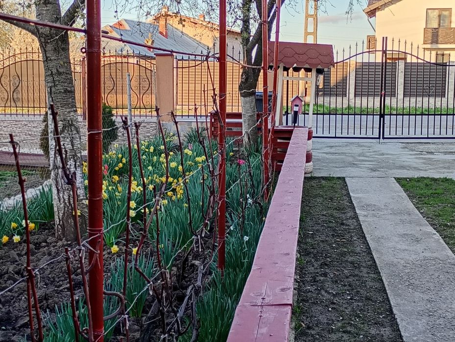 2 corpuri de casa în aceeași curte in Brătășanca