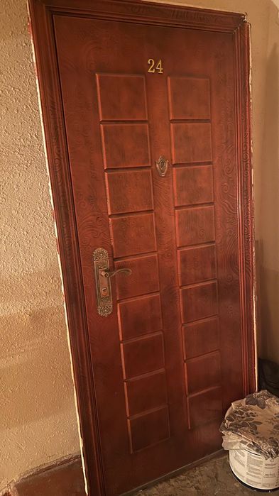 Дверь входная, металическая.